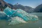 USA-Alaska-Tongass National Forest Icebergs in Endicott Arm inlet Art Print